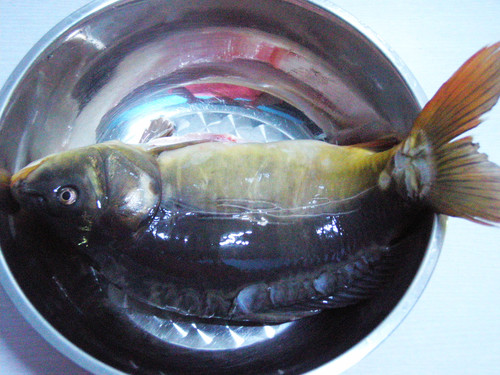 水煮鱼的家常做法