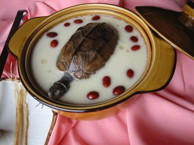 百合枣龟汤
