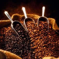 咖啡主要产国及其著名的咖啡