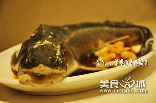 葱姜肉片蒸鲟鱼的做法