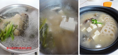 鲫鱼莲藕豆腐汤的制作方法
