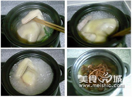 茶树菇煲鸡汤步骤2