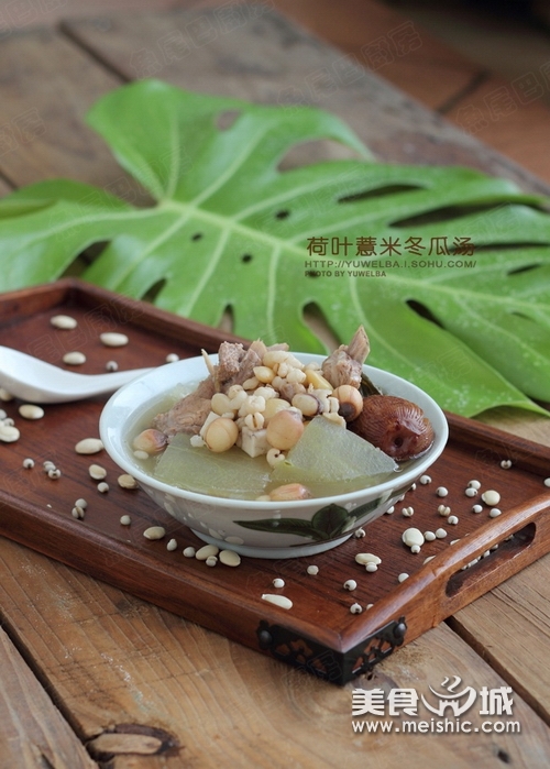 荷叶薏米冬瓜汤的做法