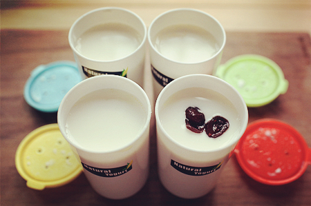 原味酸奶怎么做