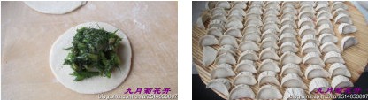 茴香大肉饺子步骤4-6