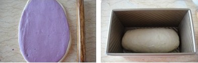 紫薯双色土司步骤12-13