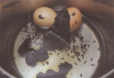 首乌黑米鸡蛋汤做法步骤3