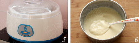 豆浆油条酸奶的做法步骤5-6