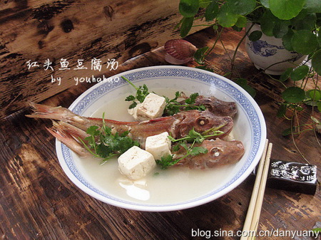 红头鱼豆腐汤