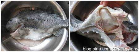 红烧海参斑鱼步骤1