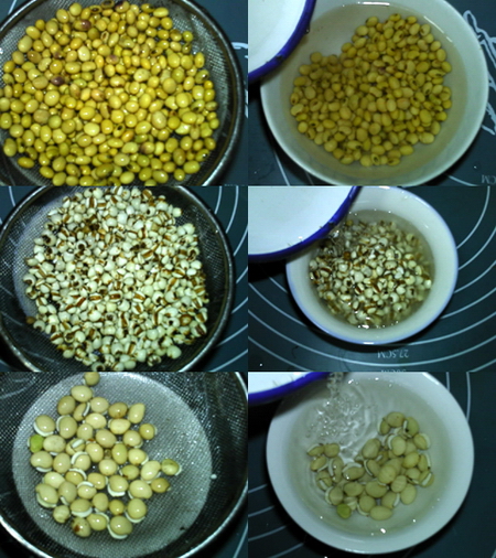 薏米扁豆豆浆的做法步骤1