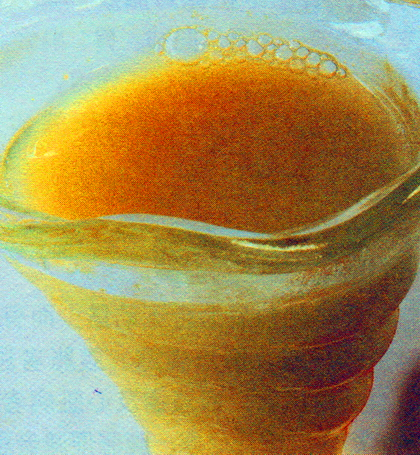 西瓜芹菜汁
