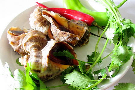 温拌海螺肉材料