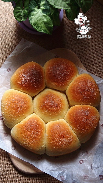 红豆沙面包的做法