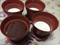 提拉米苏花盆蛋糕步骤8