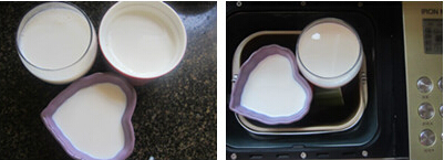 原味老酸奶做法步骤5-6