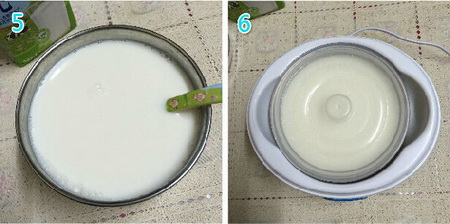 自制酸奶做法步骤5-6