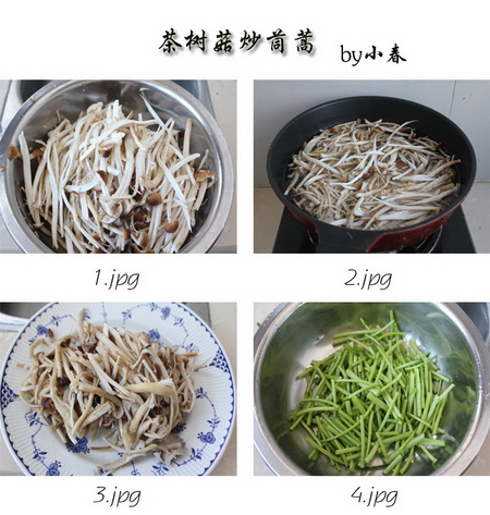 茶树菇炒茼蒿步骤1-4