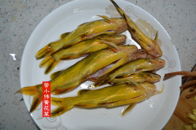 黄刺鱼煮黄花菜汤做法步骤2