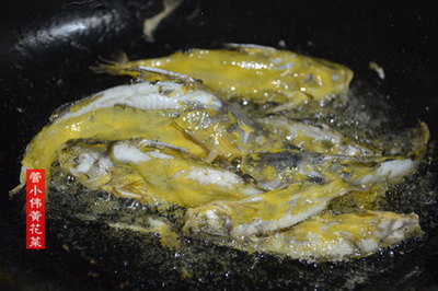 黄刺鱼煮黄花菜汤做法步骤6
