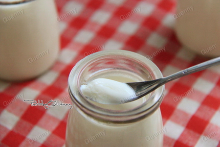 无添加原味酸奶的做法