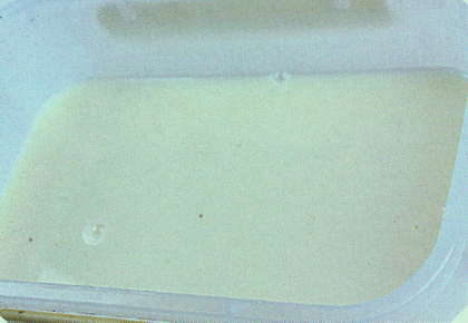 酸奶布丁做法步骤4