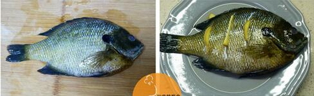 蒜蓉剁椒蒸太阳鱼的做法步骤1-2