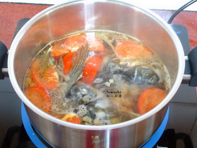 西红柿鱼汤的做法步骤4