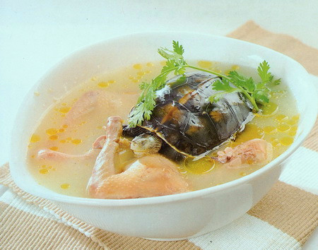 红参龟凤汤的做法