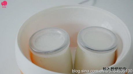美味水果老酸奶的做法步骤9