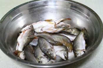 椒盐香酥炸鱼的做法步骤1