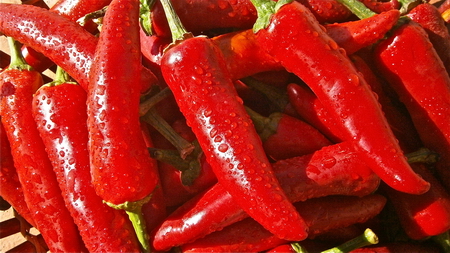 辣椒的营养价值