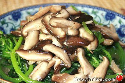 山野菜炒蘑菇