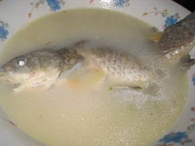 (1)生姜鲫鱼汤的做法步骤