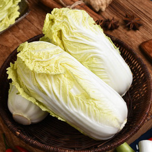 大白菜是养胃生津的“菜中之王”